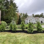 Top Services a Landscape Contractor Top Services a Landscape Contractor Can Provide for a Healthier Yard