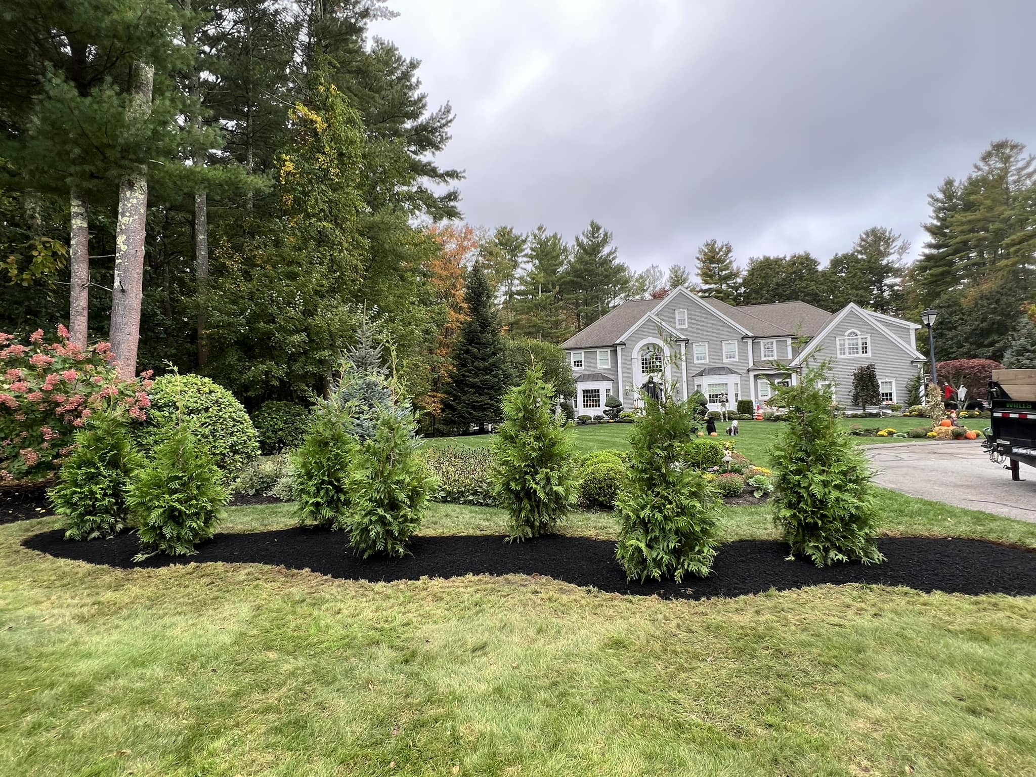 Top Services a Landscape Contractor Top Services a Landscape Contractor Can Provide for a Healthier Yard